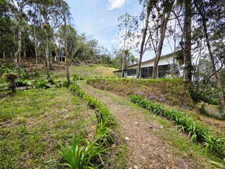 Foto 7 de Venta Casa   Campestre de Lujo en el Bosque,  Para Estrenar, Excelente Ubicación, doble proposito:residencial y/o comercial.