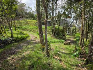 Foto 11 de Venta Casa   Campestre de Lujo en el Bosque,  Para Estrenar, Excelente Ubicación, doble proposito:residencial y/o comercial.