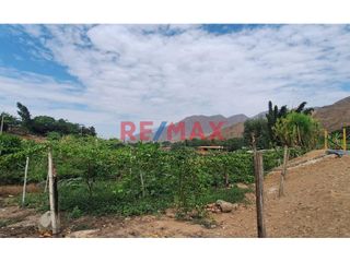 Foto 9 de Vendo 1000 M2 Terreno Distrito Simbal - Cumbray A 5 Minutos De Pista