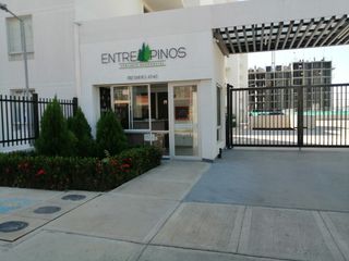 Foto 1 de APARTAMENTO EN RENTA CONJUNTO ENTRE PINOS ZONA HORIENTE NEIVA Apto 306 Torre 2