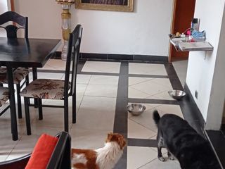 Foto 5 de VENDO APARTAMENTO EN BOGOTA CERCA A ESTACION AV 26