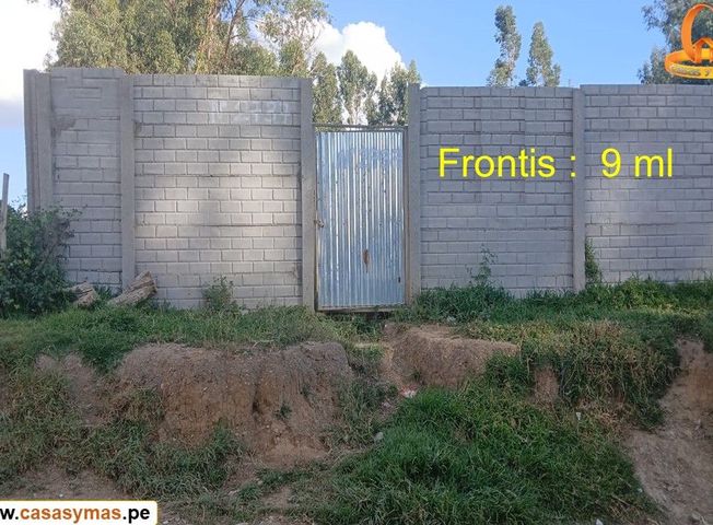 place photo 14