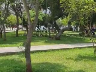 Foto 14 de SE ALQUILA CASA 200 MTS2 COMO VIVIENDA /OFICINA URBANIZACION LA CALERA SURQUILLO