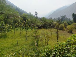 Foto 8 de VENTA DE TERRENO EN SANTA EULALIA, PALLE