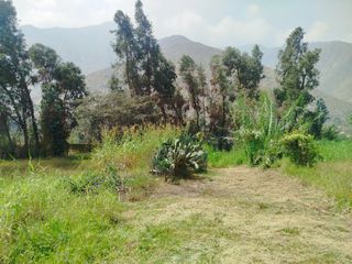 Foto 10 de VENTA DE TERRENO EN SANTA EULALIA, PALLE
