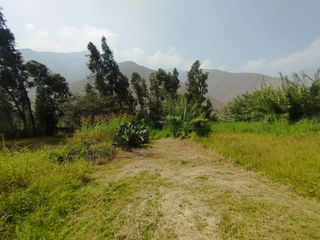 Foto 11 de VENTA DE TERRENO EN SANTA EULALIA, PALLE