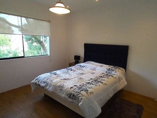 Foto 10 de SE ALQUILA LINDA CASITA CON AMPLIO JARDÍN EN PACHACAMAC