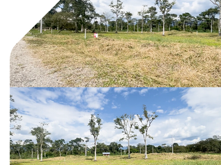 Foto 3 de Terreno en Sucúa, Paraiso de la Amazonía. Morona Santiago, Barrio Amazonas