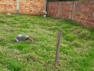 Foto 7 de Casa Lote en Gachancipa