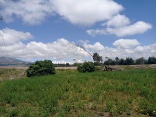 Foto 3 de AMPLIO TERRENO AGRICOLA Y PECUARIO EN VENTA COTOPAXI ECUADOR