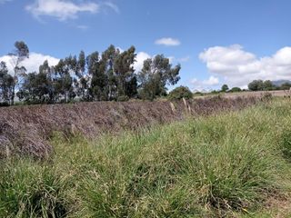 Foto 5 de AMPLIO TERRENO AGRICOLA Y PECUARIO EN VENTA COTOPAXI ECUADOR