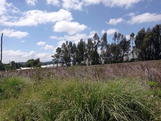 Foto 6 de AMPLIO TERRENO AGRICOLA Y PECUARIO EN VENTA COTOPAXI ECUADOR