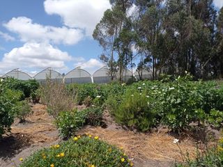 Foto 11 de AMPLIO TERRENO AGRICOLA Y PECUARIO EN VENTA COTOPAXI ECUADOR