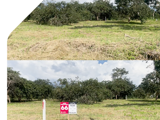 Foto 4 de Terreno en Sucúa, Morona Santiago, Barrio Amazonas, Financiamiento Directo