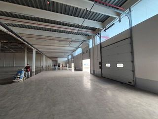 Foto 5 de Ofibodega en alquiler 14.500m² - Vía a Daule Km 10, Norte de Guayaquil