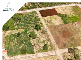 Foto 2 de Terreno en venta en Logroño, Morona Santiago, Facilidades de pago