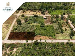 Foto 2 de Terreno en venta en Logroño, Morona Santiago, Facilidades de pago, Amazonía Ecuatoriana, Sucúa