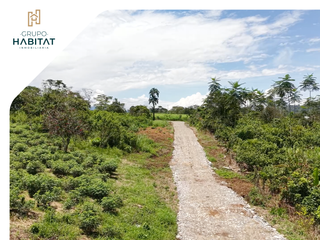 Foto 4 de Terreno en venta en Logroño, Morona Santiago, Facilidades de pago, Amazonía Ecuatoriana, Sucúa
