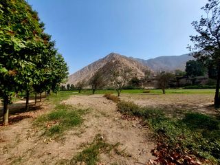 Foto 4 de 🌞 ¡OPORTUNIDAD IMPERDIBLE EN CIENEGUILLA! 🌳💧