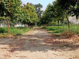 Foto 5 de 🌞 ¡OPORTUNIDAD IMPERDIBLE EN CIENEGUILLA! 🌳💧