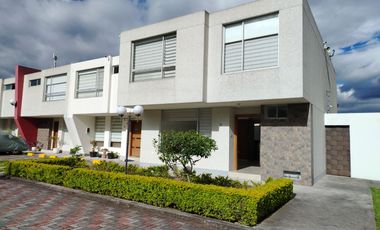 similar_image