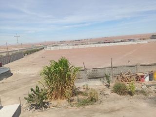 Foto 3 de Terreno en Venta – Panamericana Sur, La Joya – Desde 2,000 m²