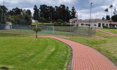 place photo 36