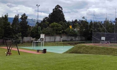 place photo 37