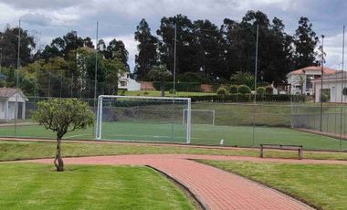 place photo 38