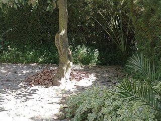 Foto 14 de Casa de venta en Urb. Auqui Chico, Cumbayá