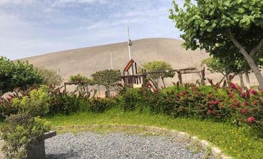 place photo 28
