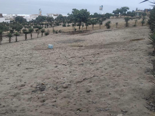 Foto 2 de Terreno en Punta Negra de 512 m²