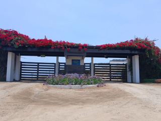 Foto 11 de Terreno en Punta Negra de 512 m²