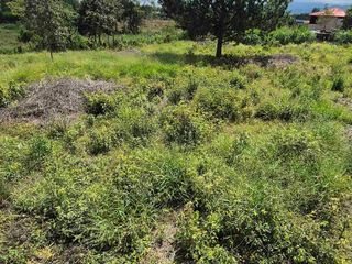 Foto 3 de Hermoso lote campestre al norte de la ciudad de Popayán. vía a río blanco