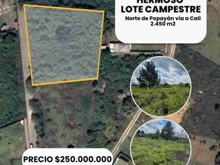 Foto 1 de Hermoso lote campestre al norte de la ciudad de Popayán. vía a río blanco