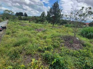 Foto 5 de Hermoso lote campestre al norte de la ciudad de Popayán. vía a río blanco