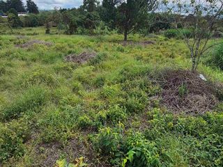 Foto 6 de Hermoso lote campestre al norte de la ciudad de Popayán. vía a río blanco