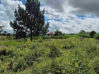 Foto 7 de Hermoso lote campestre al norte de la ciudad de Popayán. vía a río blanco