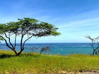 Foto 7 de TERRENO CON DOMO NATURAL EN MANCORA