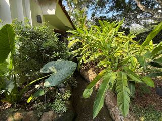Foto 6 de Venta Casa Pance
