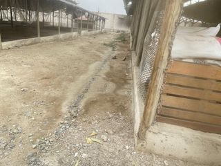 Foto 5 de TERRENO EN VENTA