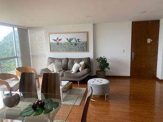 Foto 3 de VENDO PRECIOSO Y MUY AMPLIO APARTAMENTO PENTHOUSE DE 200M2 MAS 105M2 EN TERRAZAS EN SECTOR PALERMO CON ASCENSOR