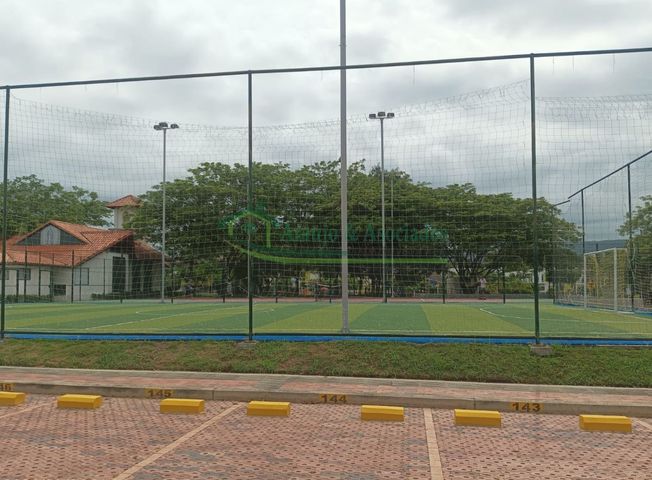 place photo 29