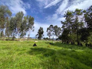 Foto 1 de VENDO TERRENO LA COMUNA -PINTAG