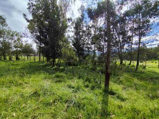 Foto 5 de VENDO TERRENO LA COMUNA -PINTAG