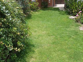 Foto 5 de CONDOMINIO CON 5 CASAS