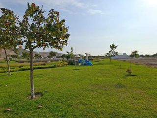 Foto 8 de VENDO TERRENO DE PLAYA-CAMPO EN ASIA km105 .OPORTUNIAD! SUPER REBAJADO!