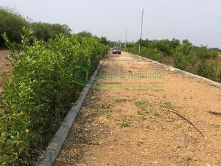 Foto 4 de Vendemos lotes de 1.000 M2 en Ricaurte
