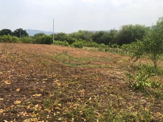 Foto 6 de Vendemos lotes de 1.000 M2 en Ricaurte