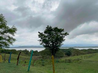 Foto 14 de lotes a Borde de la Represa de Betania